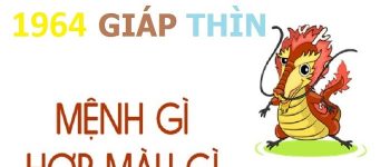 Năm 1964 là năm con gì? Sinh năm 1964 là mệnh gì? Tuổi gì?