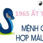 Năm 1965 là năm con gì? Sinh năm 1965 là mệnh gì? Tuổi gì?