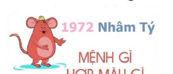 Năm 1972 là năm con gì? Sinh năm 1972 là mệnh gì? Tuổi gì?