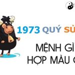 Năm 1973 là năm con gì? Sinh năm 1973 là mệnh gì? Tuổi gì?