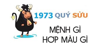 Năm 1973 là năm con gì? Sinh năm 1973 là mệnh gì? Tuổi gì?