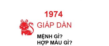 Năm 1974 là năm con gì? Sinh năm 1974 là mệnh gì? Tuổi gì?