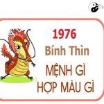 Năm 1976 là năm con gì? Sinh năm 1976 là mệnh gì? Tuổi gì?