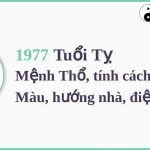 Năm 1977 là năm con gì? Sinh năm 1977 là mệnh gì? Tuổi gì?