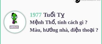 Năm 1977 là năm con gì? Sinh năm 1977 là mệnh gì? Tuổi gì?