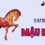 Năm 1978 là năm con gì? Sinh năm 1978 là mệnh gì? Tuổi gì?