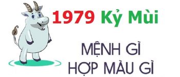 Năm 1979 là năm con gì? Sinh năm 1979 là mệnh gì? Tuổi gì?