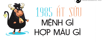 Năm 1985 là năm con gì? Sinh năm 1985 là mệnh gì? Tuổi gì?