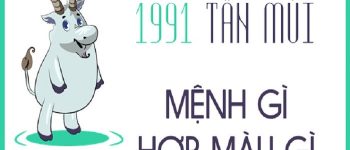 Năm 1991 là năm con gì? Sinh năm 1991 là mệnh gì? Tuổi gì?