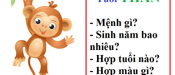 Năm 1992 là năm con gì? Sinh năm 1992 là mệnh gì? Tuổi gì?