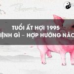 Năm 1995 là năm con gì? Sinh năm 1995 là mệnh gì? Tuổi gì?