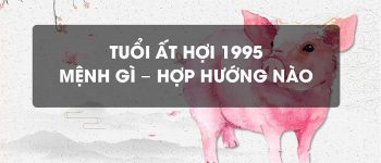 Năm 1995 là năm con gì? Sinh năm 1995 là mệnh gì? Tuổi gì?