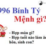 Năm 1996 là năm con gì? Sinh năm 1996 là mệnh gì? Tuổi gì?