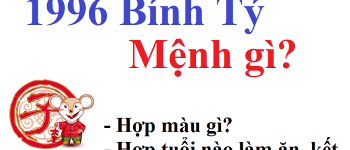 Năm 1996 là năm con gì? Sinh năm 1996 là mệnh gì? Tuổi gì?