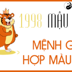 Năm 1998 là năm con gì? Sinh năm 1998 là mệnh gì? Tuổi gì?