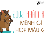 Năm 2002 là năm con gì? Sinh năm 2002 là mệnh gì? Tuổi gì?