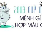 Năm 2003 là năm con gì? Sinh năm 2003 là mệnh gì? Tuổi gì?