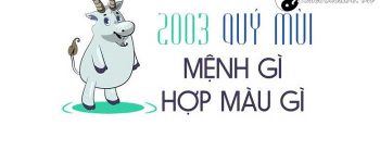 Năm 2003 là năm con gì? Sinh năm 2003 là mệnh gì? Tuổi gì?