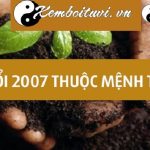 Năm 2007 là năm con gì? Sinh năm 2007 là mệnh gì? Tuổi gì?