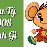 Năm 2008 là năm con gì? Sinh năm 2008 là mệnh gì? Tuổi gì?