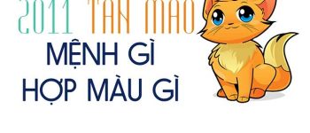 Năm 2011 là năm con gì? Sinh năm 2011 là mệnh gì? Tuổi gì?