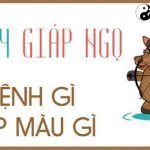 Năm 2014 là năm con gì? Sinh năm 2014 là mệnh gì? Tuổi gì?