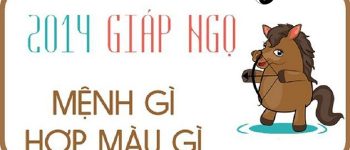 Năm 2014 là năm con gì? Sinh năm 2014 là mệnh gì? Tuổi gì?