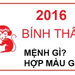 Năm 2016 là năm con gì? Sinh năm 2016 là mệnh gì? Tuổi gì ?