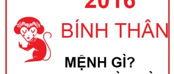 Năm 2016 là năm con gì? Sinh năm 2016 là mệnh gì? Tuổi gì ?