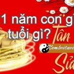 Năm 2021 là năm con gì? Sinh năm 2021 là mệnh gì? Tuổi gì ?