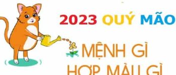 Năm 2023 là năm con gì? Sinh năm 2023 là mệnh gì? Tuổi gì ?