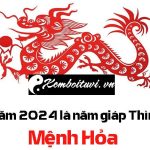 Năm 2024 là năm con gì? Sinh năm 2024 là mệnh gì? Tuổi gì ?