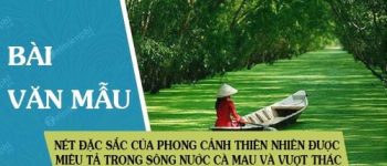 Nét đặc sắc của phong cảnh thiên nhiên được miêu tả trong Sông nước Cà Mau và Vượt Thác