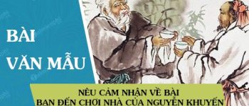 Nêu cảm nhận về bài Bạn đến chơi nhà của Nguyễn Khuyến