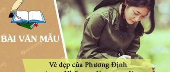 Nêu những ý kiến đánh giá về vẻ đẹp của Phương Định trong Những ngôi sao xa xôi