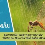 Nghệ thuật đặc sắc trong bài Mưa của Trần Đăng Khoa