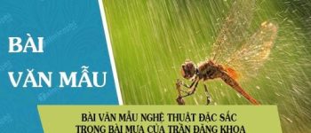 Nghệ thuật đặc sắc trong bài Mưa của Trần Đăng Khoa