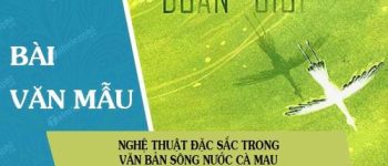 Nghệ thuật đặc sắc trong văn bản Sông nước Cà Mau (Ngữ văn 6 – Tập II) trích trong truyện Đất rừng phương Nam của nhà văn Đoàn Giỏi