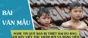 Nghe tin quê bạn bị thiệt hại do bão, em hãy viết thư thăm hỏi và động viên bạn