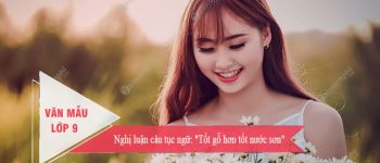 Nghị luận câu tục ngữ Tốt gỗ hơn tốt nước sơn