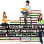 Nghị luận học đi đôi với hành lớp 8 hay nhất (25 Mẫu)