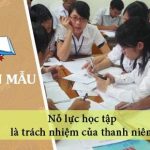 Nghị luận về Nỗ lực học tập là trách nhiệm của thanh niên