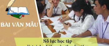 Nghị luận về Nỗ lực học tập là trách nhiệm của thanh niên