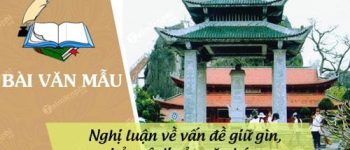 Nghị luận về vấn đề giữ gìn, bảo vệ di sản văn hóa