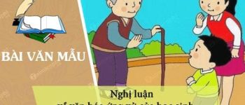 Nghị luận về văn hóa ứng xử của học sinh