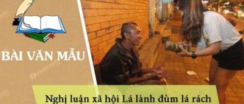 Nghị luận xã hội Lá lành đùm lá rách