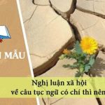 Nghị luận xã hội về câu tục ngữ có chí thì nên đạt điểm cao