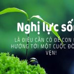 Nghị luận xã hội về nghị lực sống của con người hay nhất (33 Mẫu)