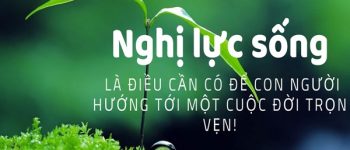 Nghị luận xã hội về nghị lực sống của con người hay nhất (33 Mẫu)