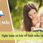 Nghị luận xã hội về tình mẫu tử ngắn gọn, hay nhất (35 Mẫu)